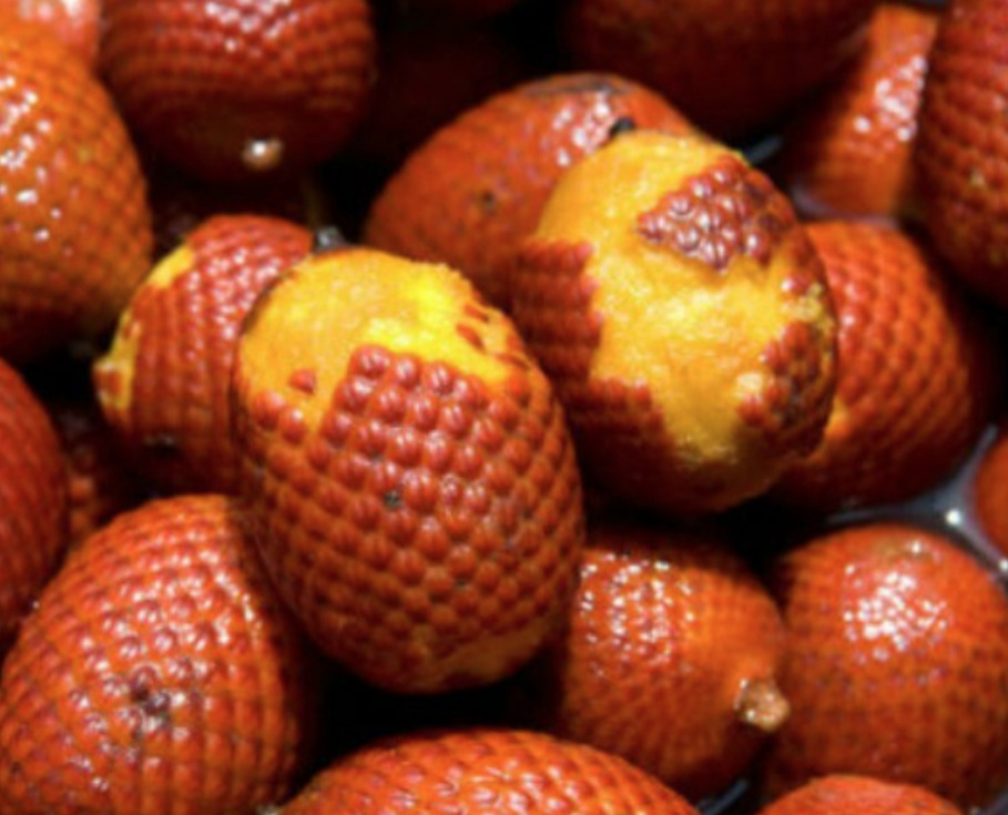 Buriti